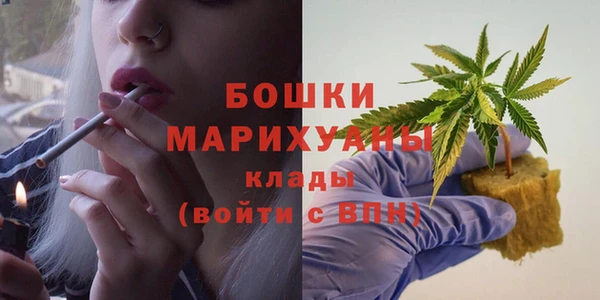 сатива Протвино