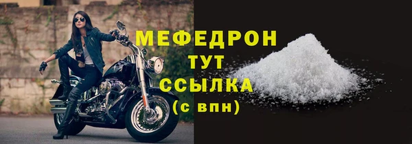 дживик Ельня