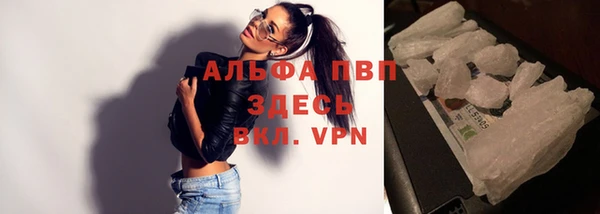сатива Протвино