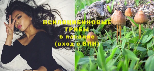 сатива Протвино