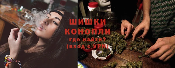гидра Приозерск
